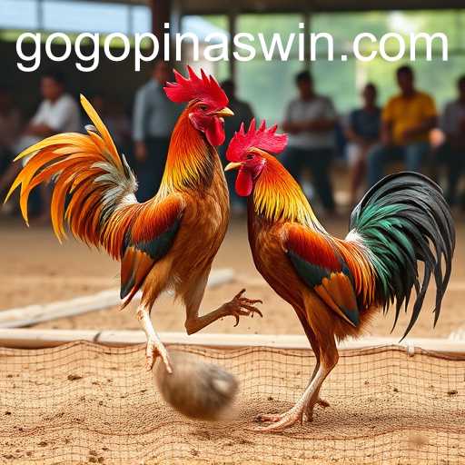 Exploring Sabong Games Online: The Rise of GOGOPINAS
